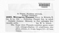 Micropera pinastri image